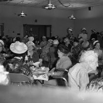 Twilight Haven Party